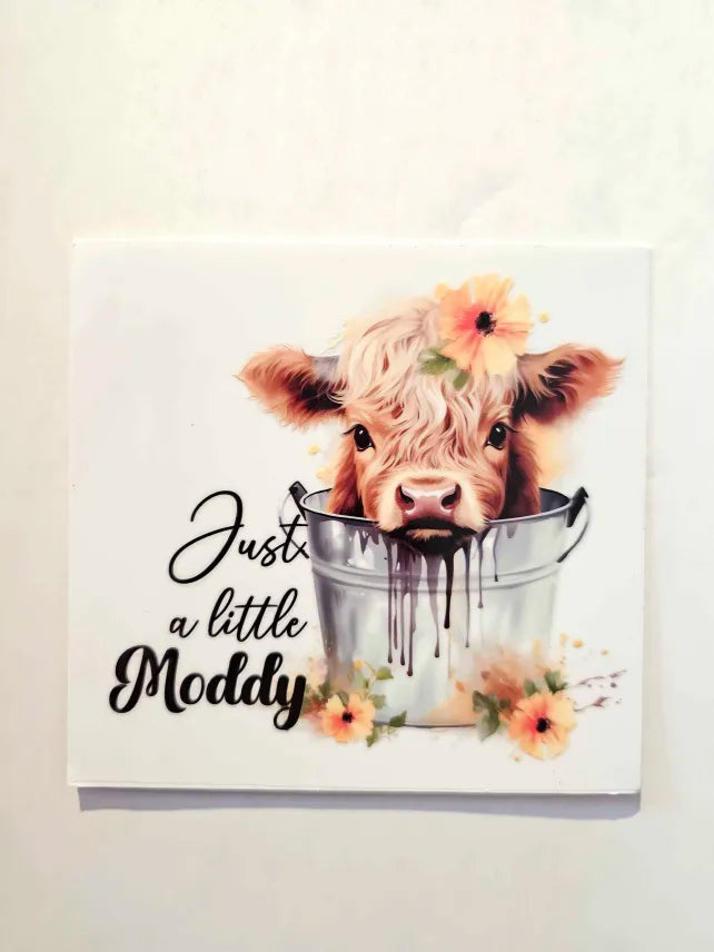 Cow Decal