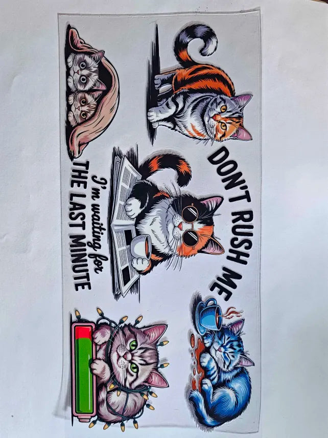 Cat Decal