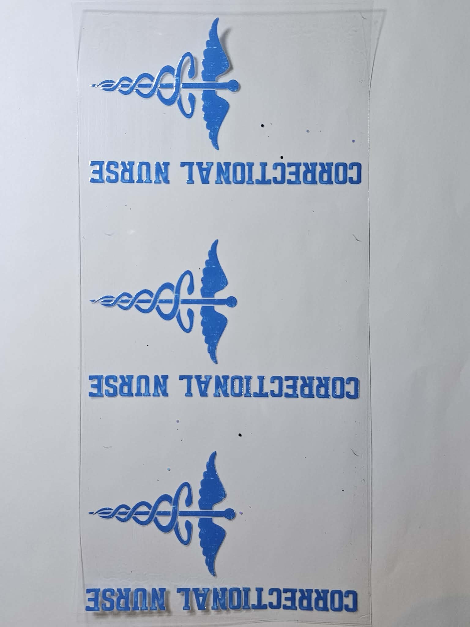 Correctional Nurse decal