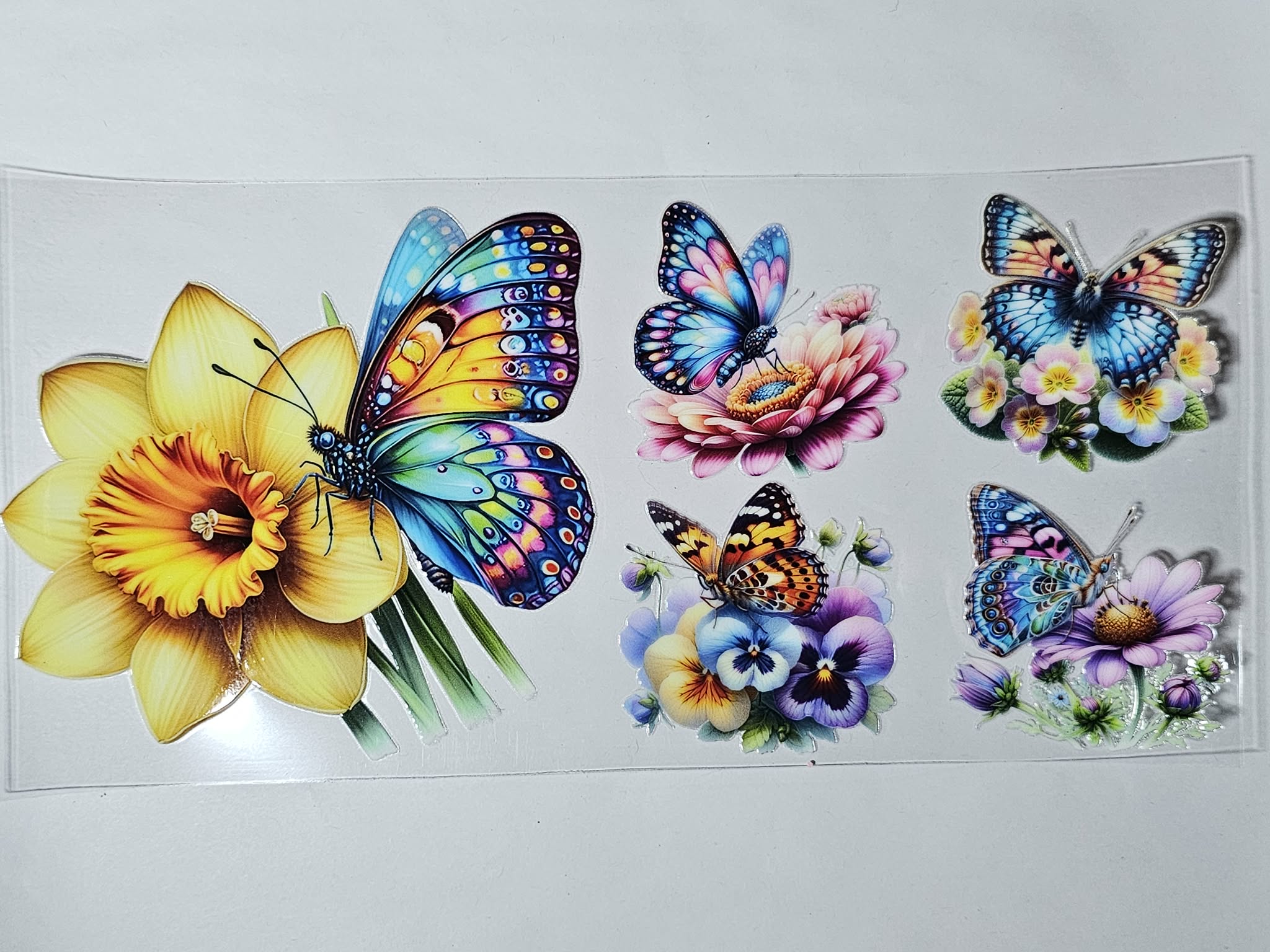 Butterfly Decal