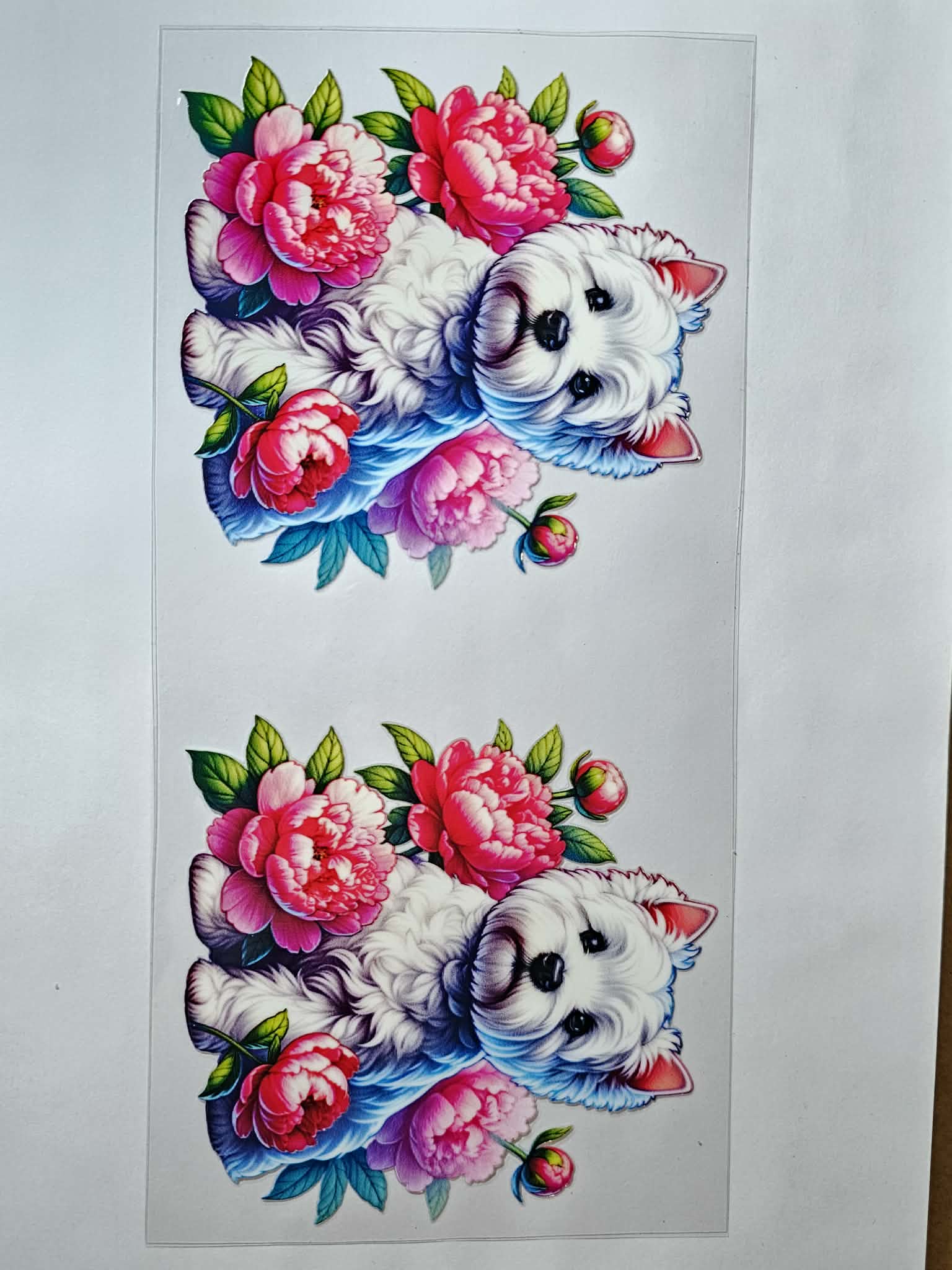 Dog Decal