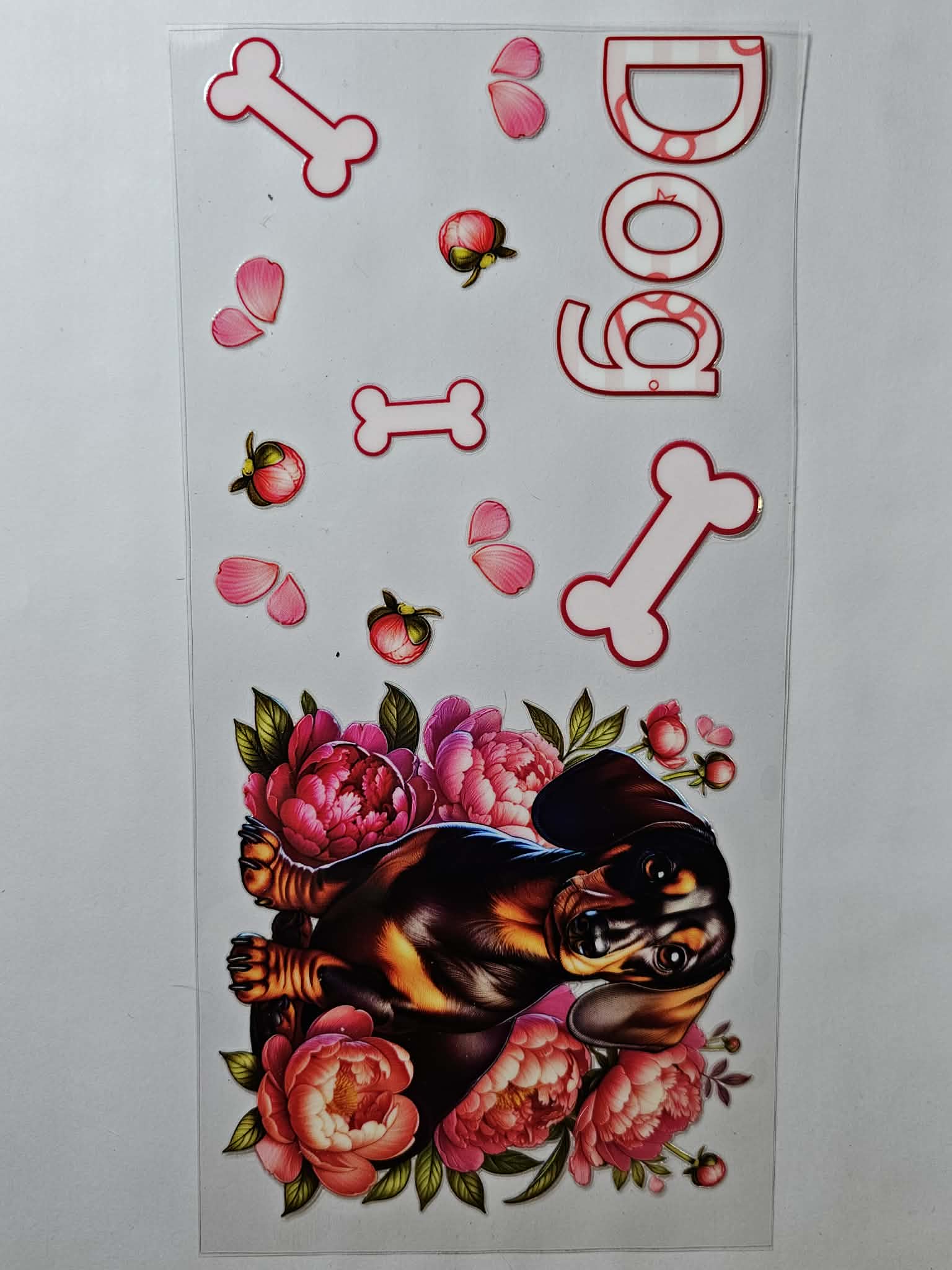Dog Decal