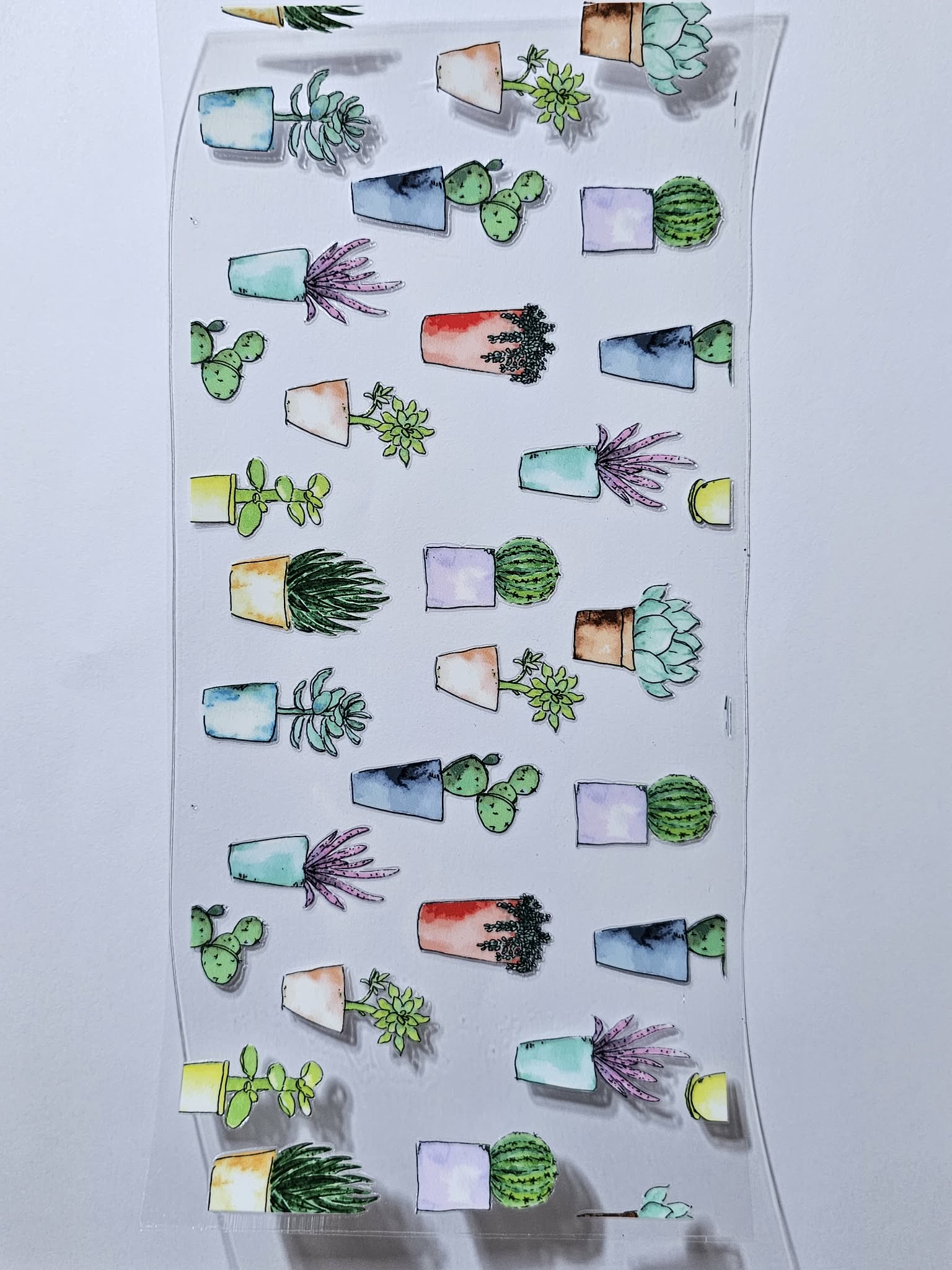 Cactus decal