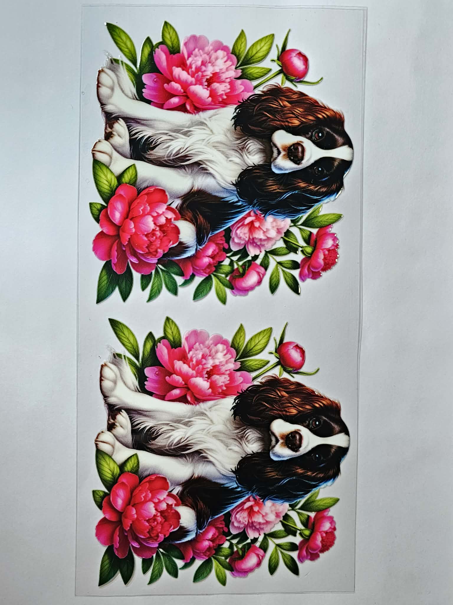 Dog Decal