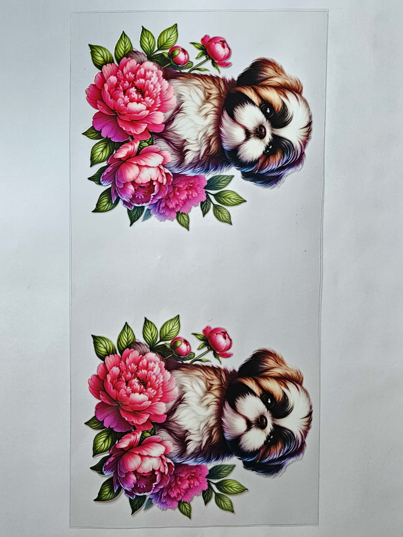 Dog Decal