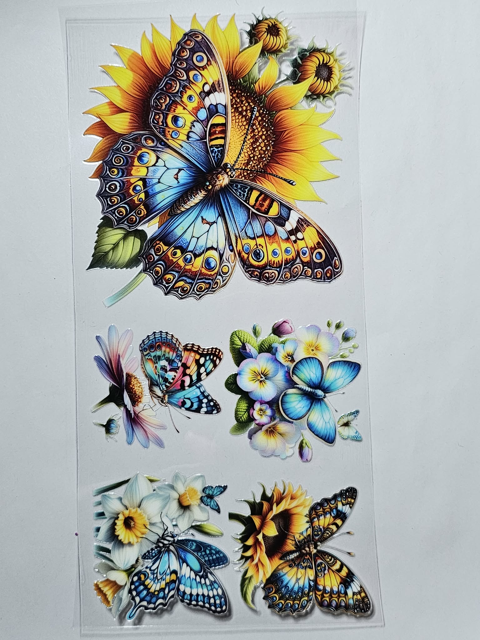 Butterfly Decal
