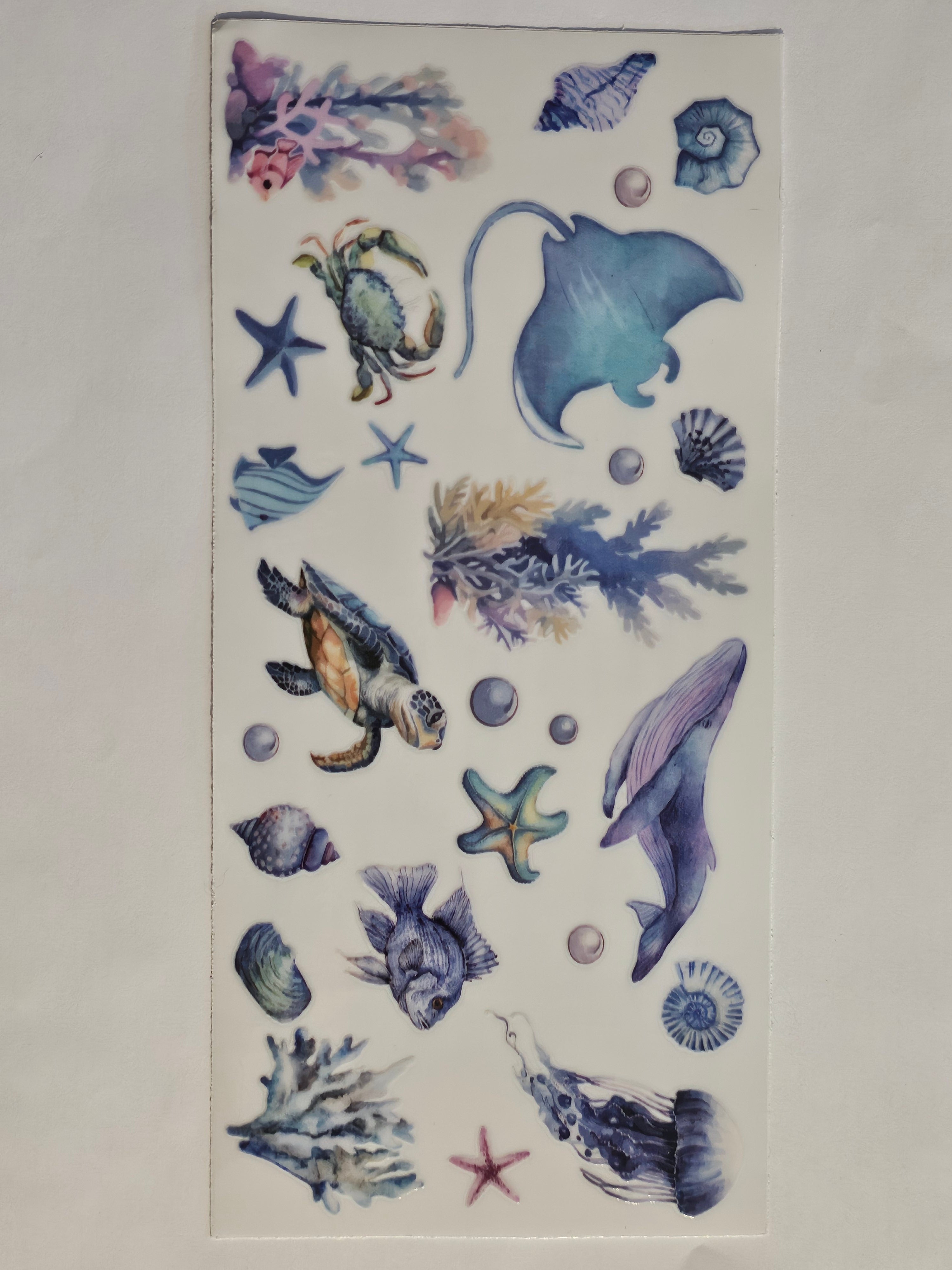 Ocean Decal