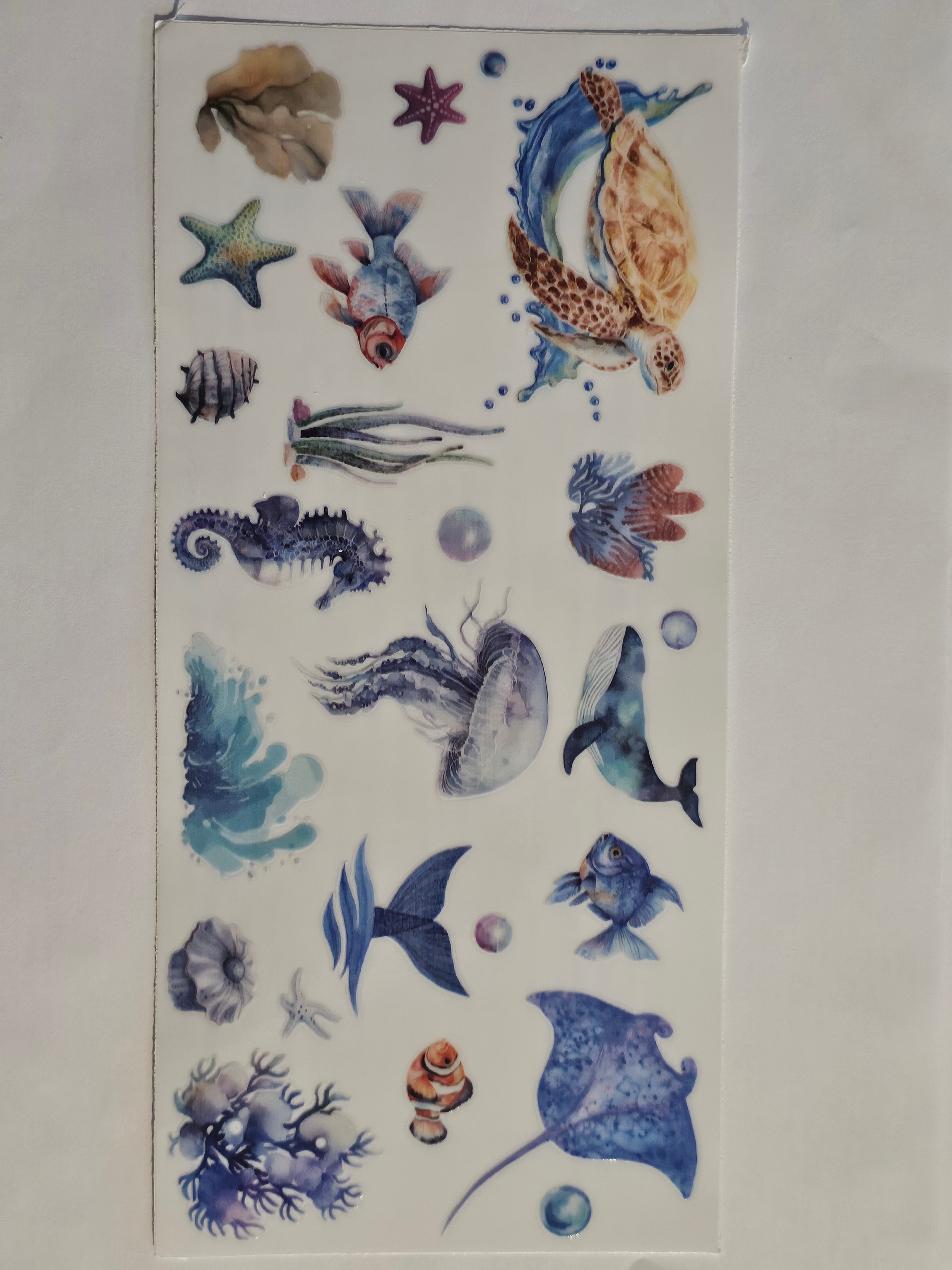 Ocean Decal