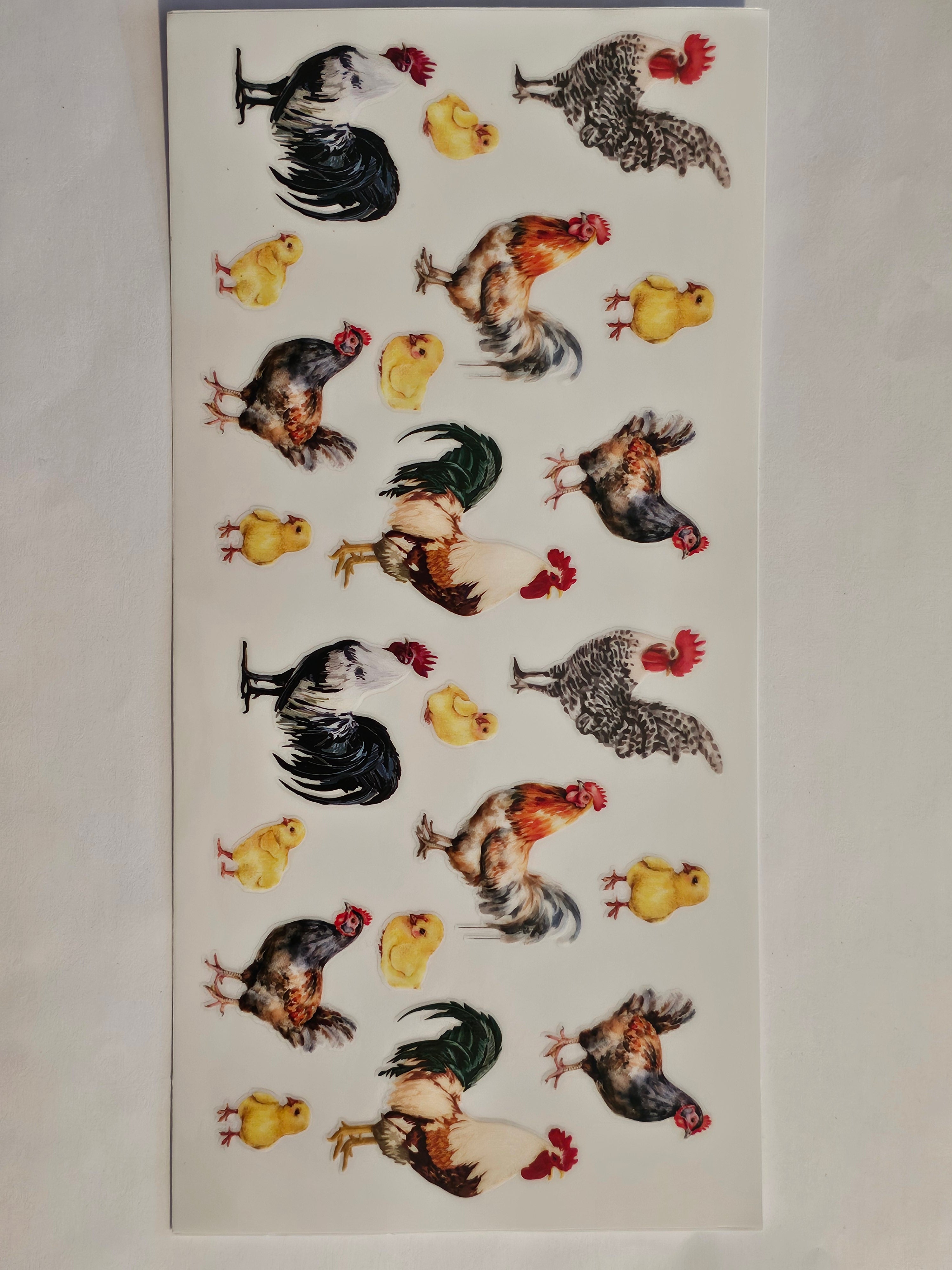Farm Chicken Decal